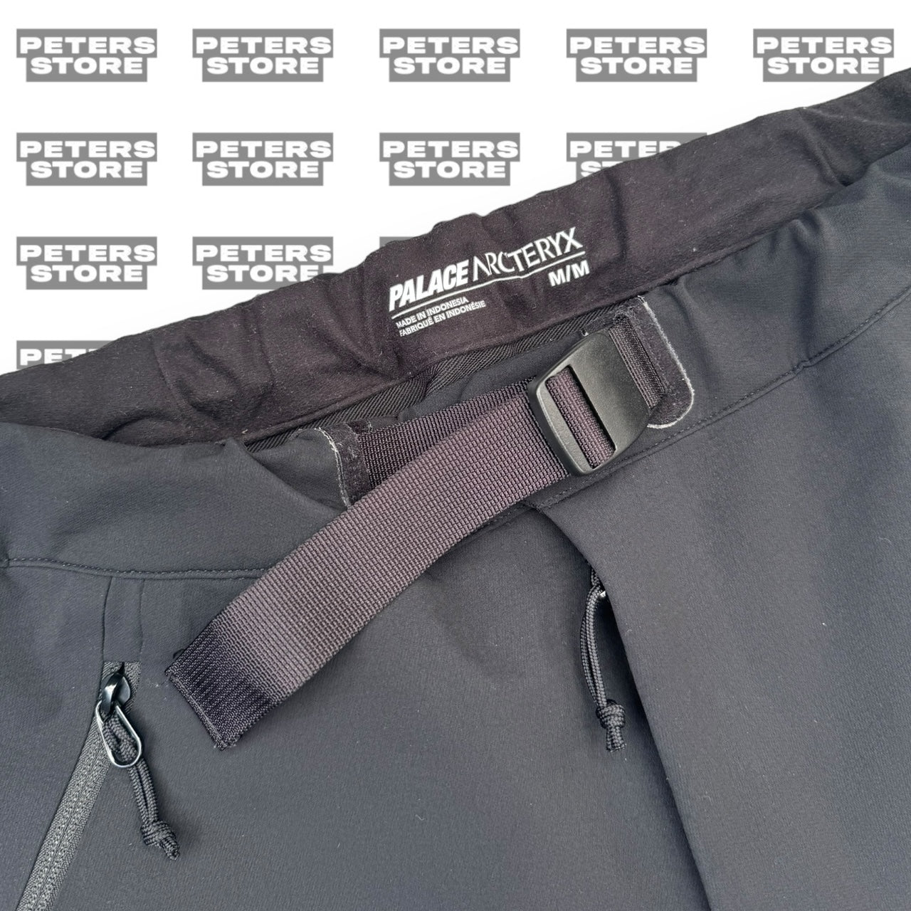Arcteryx Palace Gamma AR Trousers