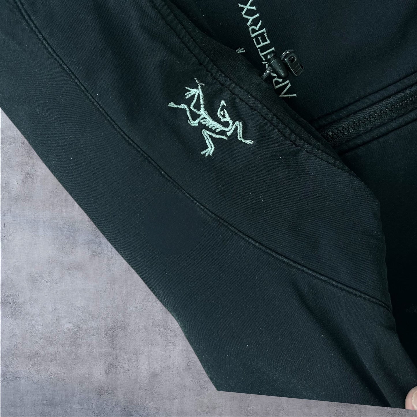 Vintage Arc'teryx Gamma Fleece Lined Softshell Jacket Men's Large Logo Detail RRP £350
