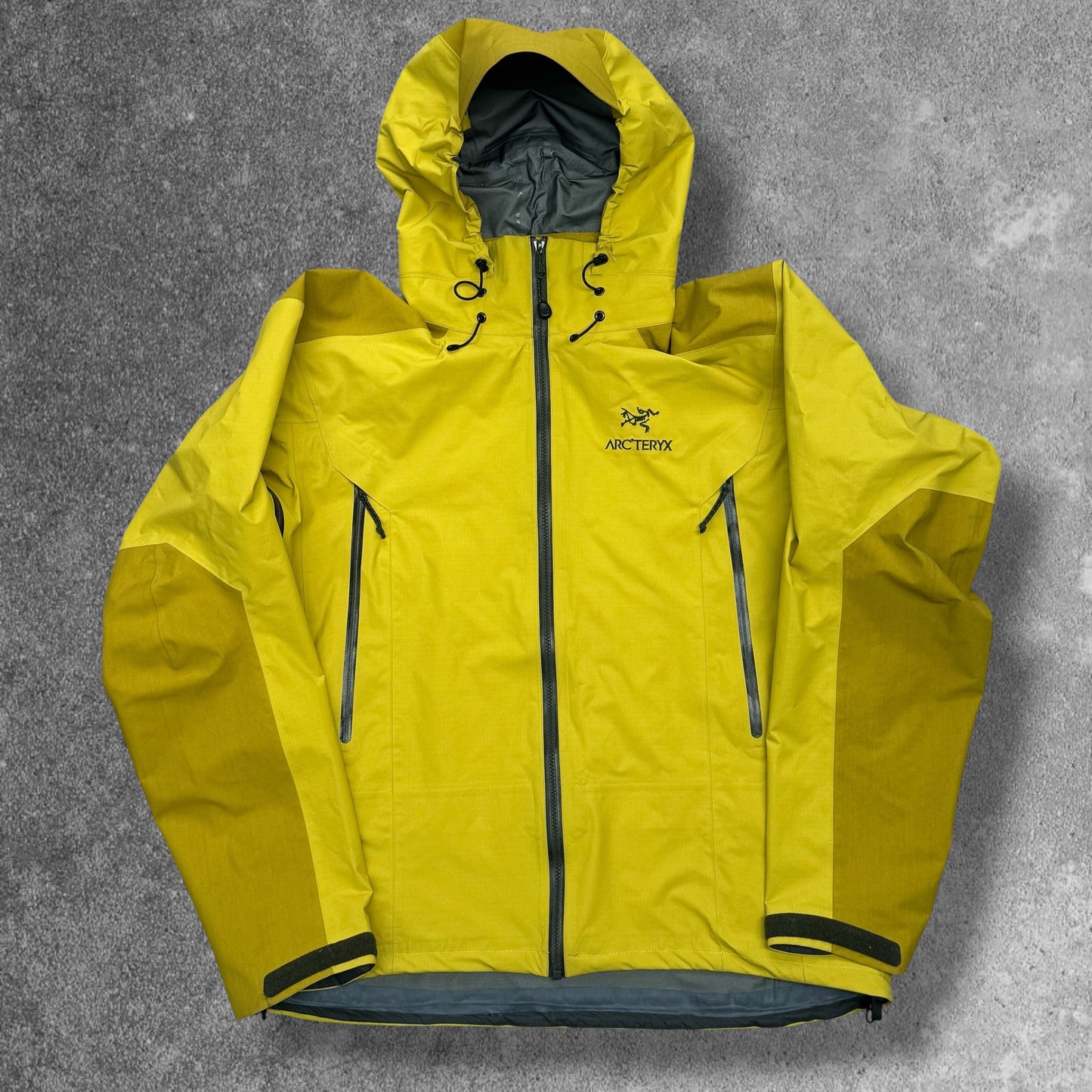 Vintage Arc'teryx Beta AR Men's XL Lichen Rare RRP £650