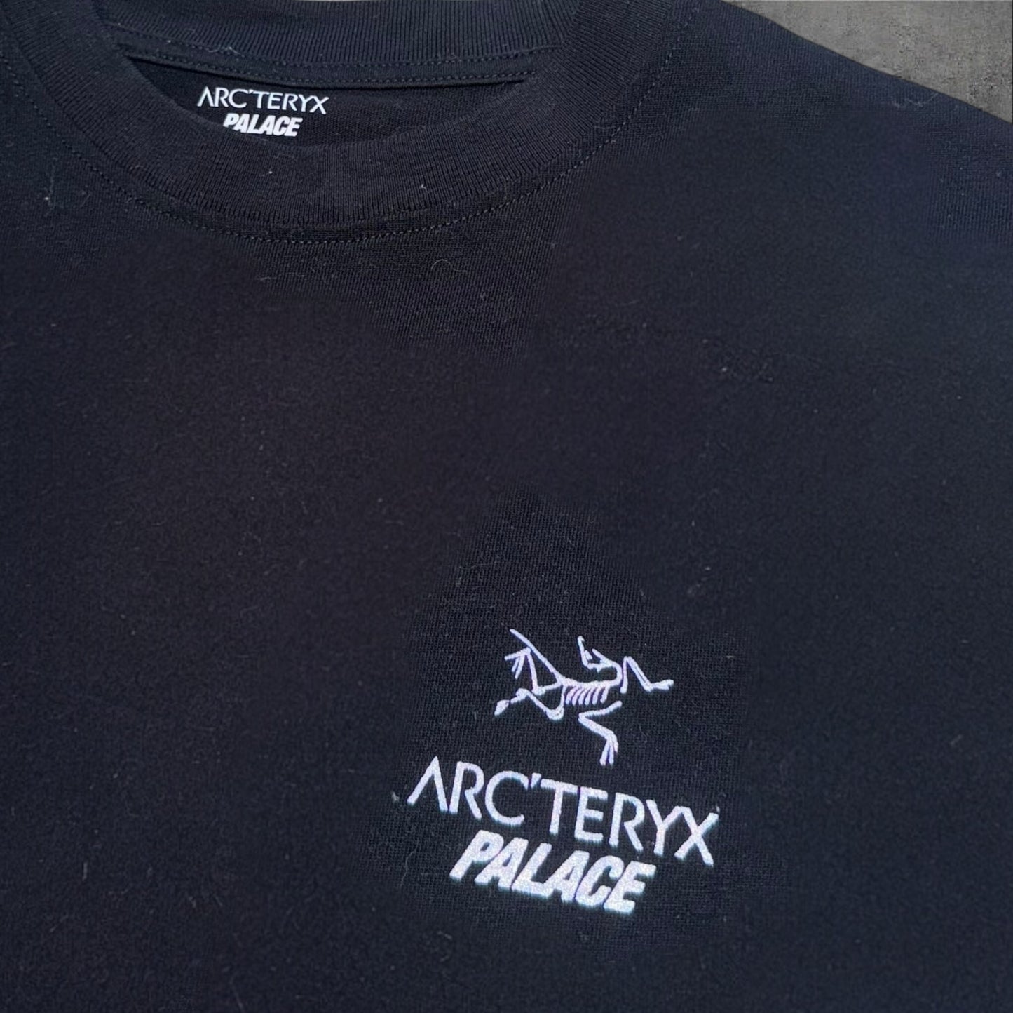 Arc’teryx Palace Collaboration T Shirt Small RRP £150