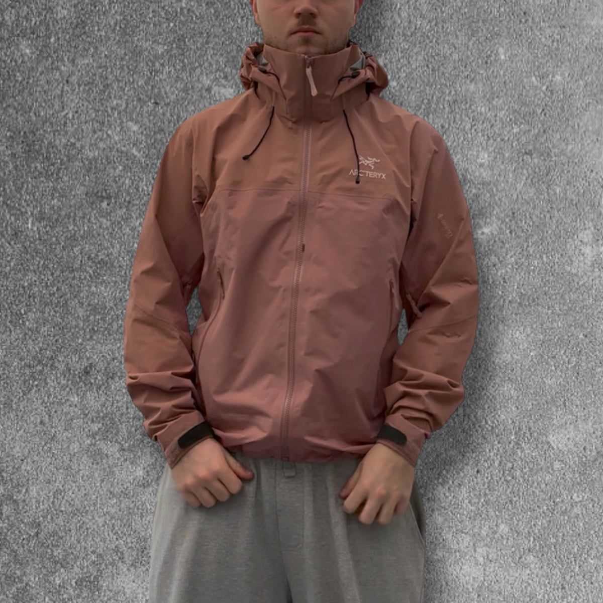 Arc'teryx Beta AR Gore-Tex Pro Jacket Women's Large Pink RRP £550